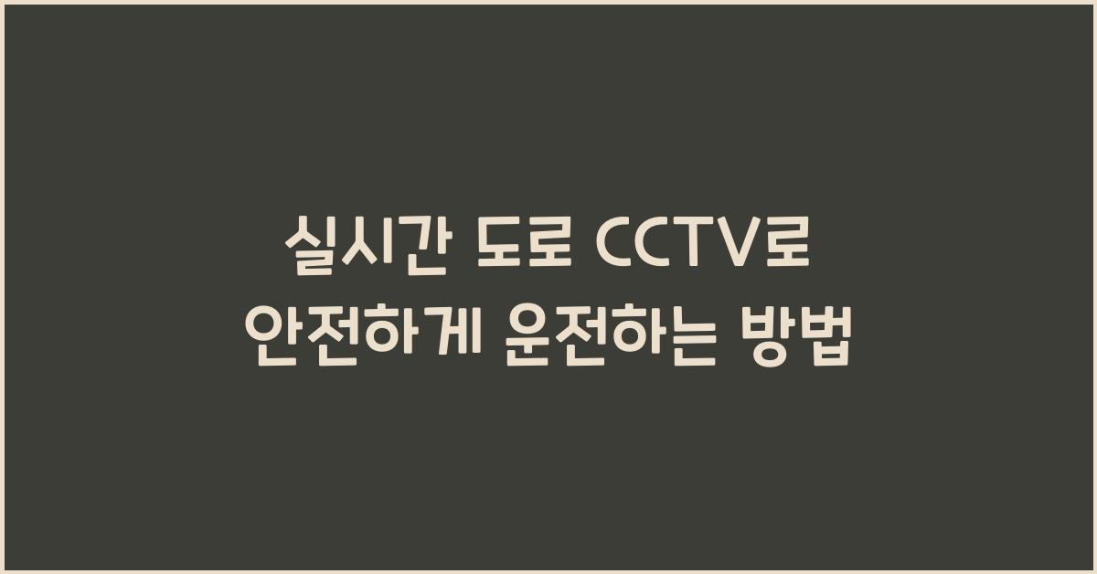 실시간 도로 cctv
