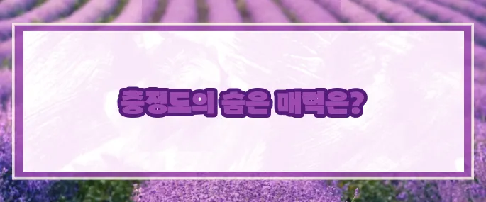 충청도 가볼만한곳 베스트10 2025 (+핵심포인트)