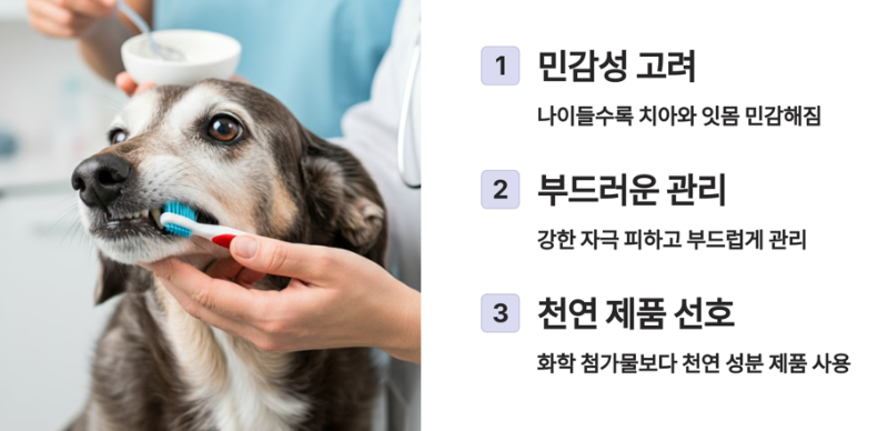 주의 사항