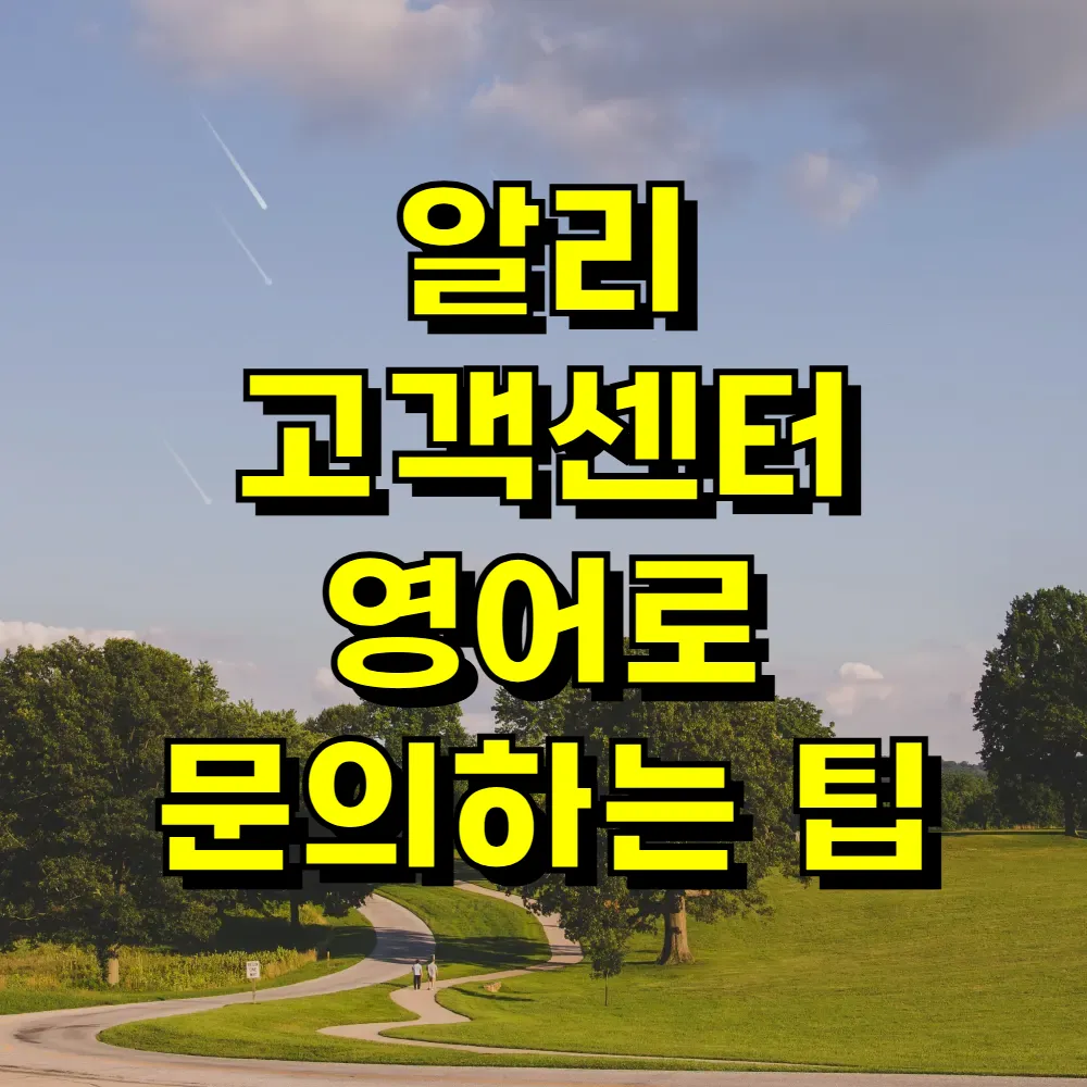 알리 고객센터 영어로 문의하는 팁