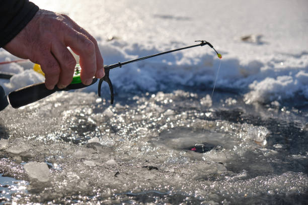 방문시 유의사항
