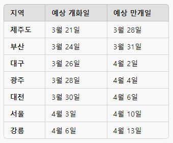 2025 벚꽃 개화시기 벗꽃개화시기 벚꽃개화지도 벗꽃개화지도 사진촬영꿀팁
