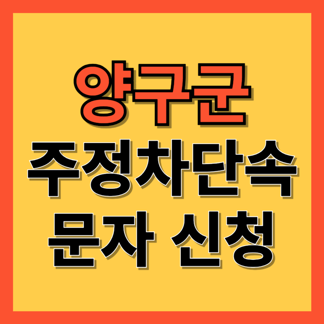 양구군 주정차 단속 알림 서비스 신청 방법 ❘ 주차단속 문자알림서비스