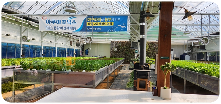 카페디안-아쿠아포닉스-내부사진3