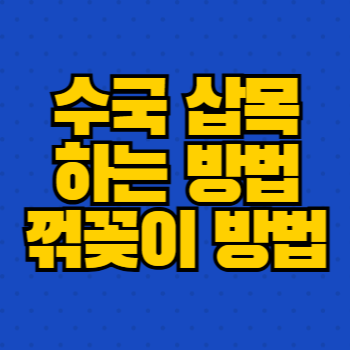 수국 삽목 하는 방법