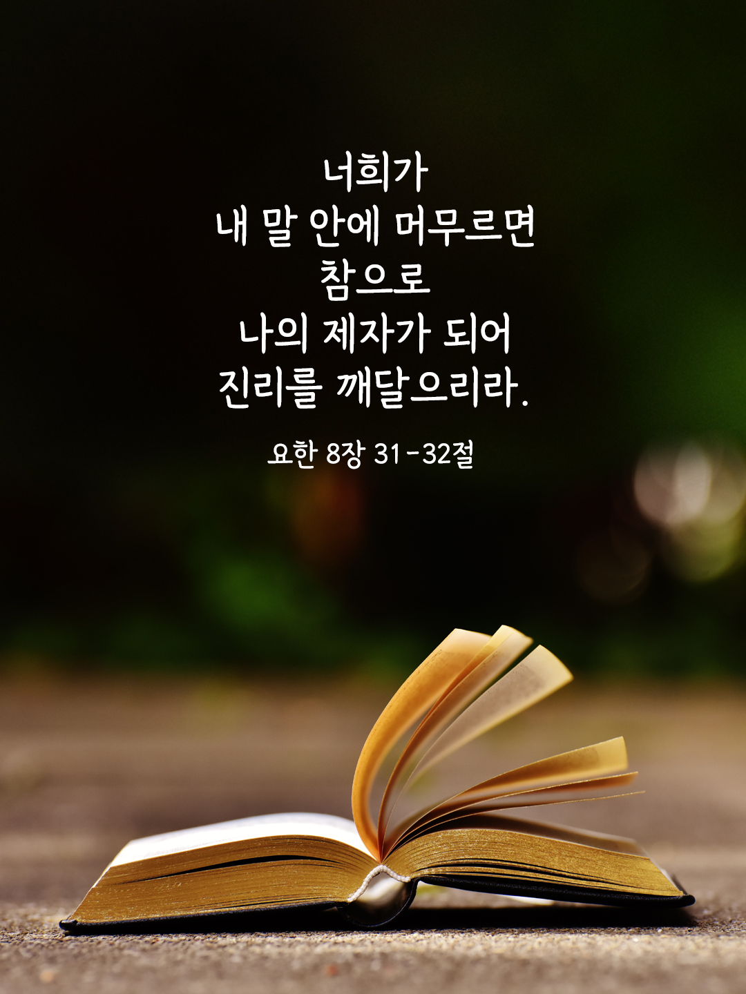 너희가 내 말 안에 머무르면 참으로 나의 제자가 되어 진리를 깨달으리라. (요한 8,31-32)
