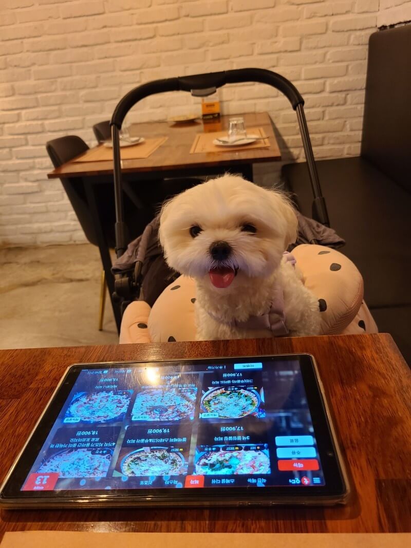 애견동반식당 PPK