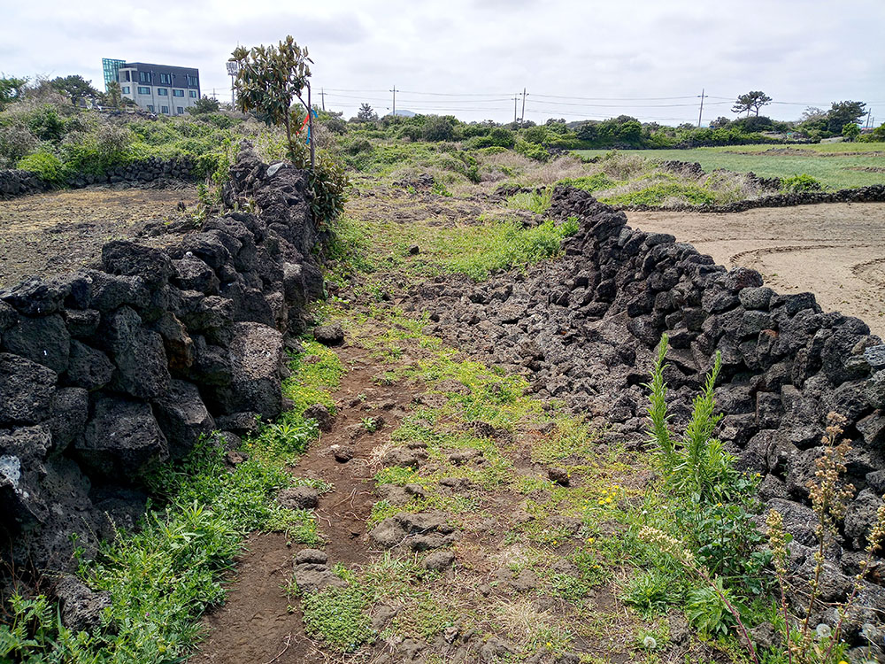 올레길 20코스: 김녕서포구에서 제주해녀박물관까지
