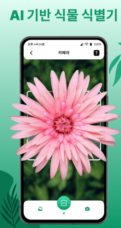 약초인식-카메라앱-화면사진1