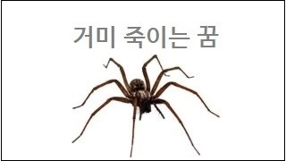 거미 죽이는 꿈