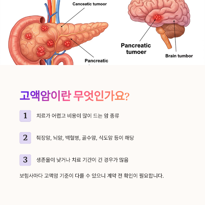 생명보험 고액암