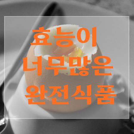 삶은계란-효능