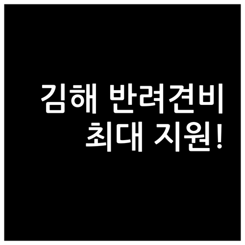 강아지 고양이 진료비 걱정 끝 김해시..