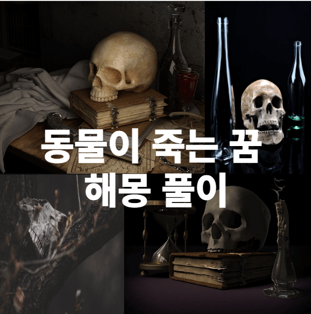 사람 그리고 동물 머리 뼈가 어두운 곳에 있는 섬뜻한 사진입니다.