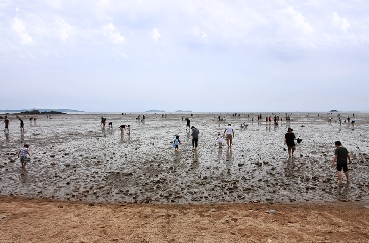 민머루-갯벌체험