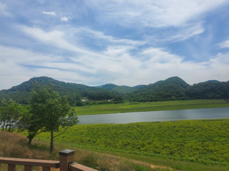 임실 옥정호 출렁다리와 붕어섬 생태공원