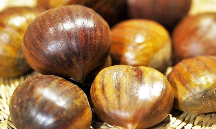 발효율피추출분말 율피 효능 복용법 주의사항 대표이미지