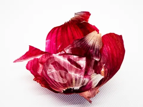 양파껍질차 혈관건강 유지에 도움