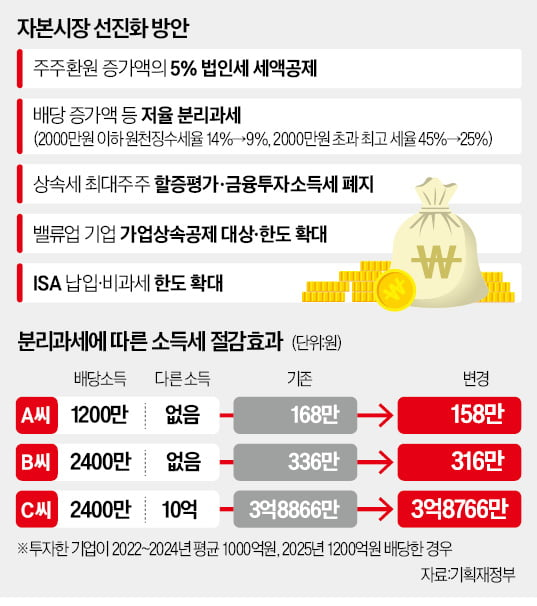 자본시장 선진화 방안에 대한 그림입니다.