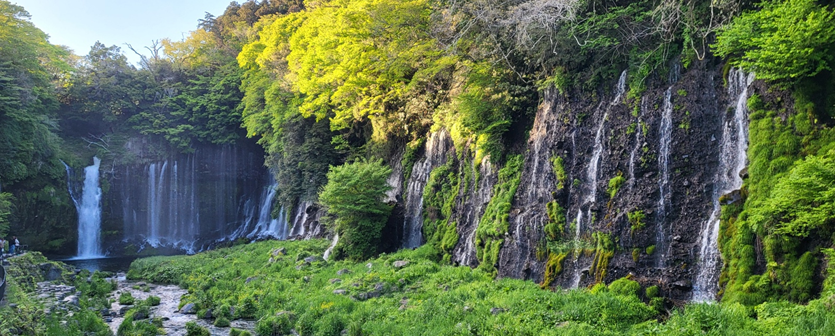 시라이토폭포 – 천 개의 비단실처럼 흘러내리는 후지산의 선물