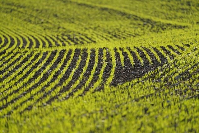 걷기와 탈모의 상관관계 (지금 내가 하는 행동들이 탈모를 부른다)
