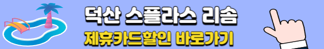 덕산 스플라스 리솜 워터파크 할인예약