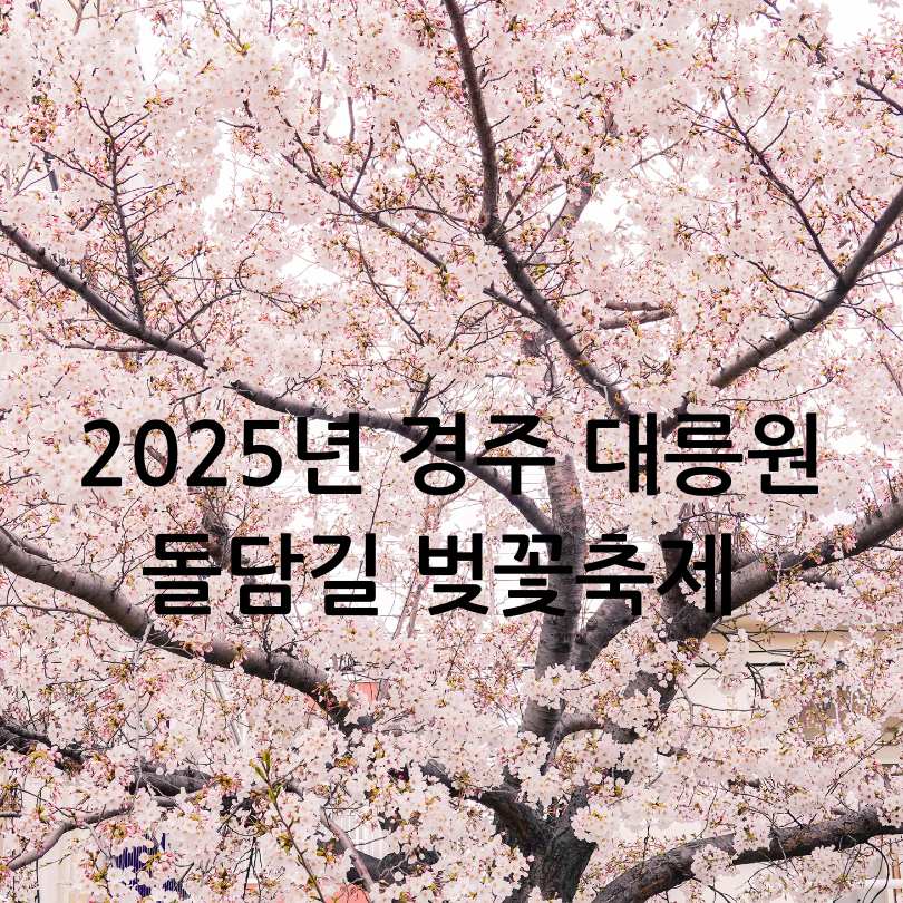 2025년 경주 대릉원돌담길 벚꽃축제