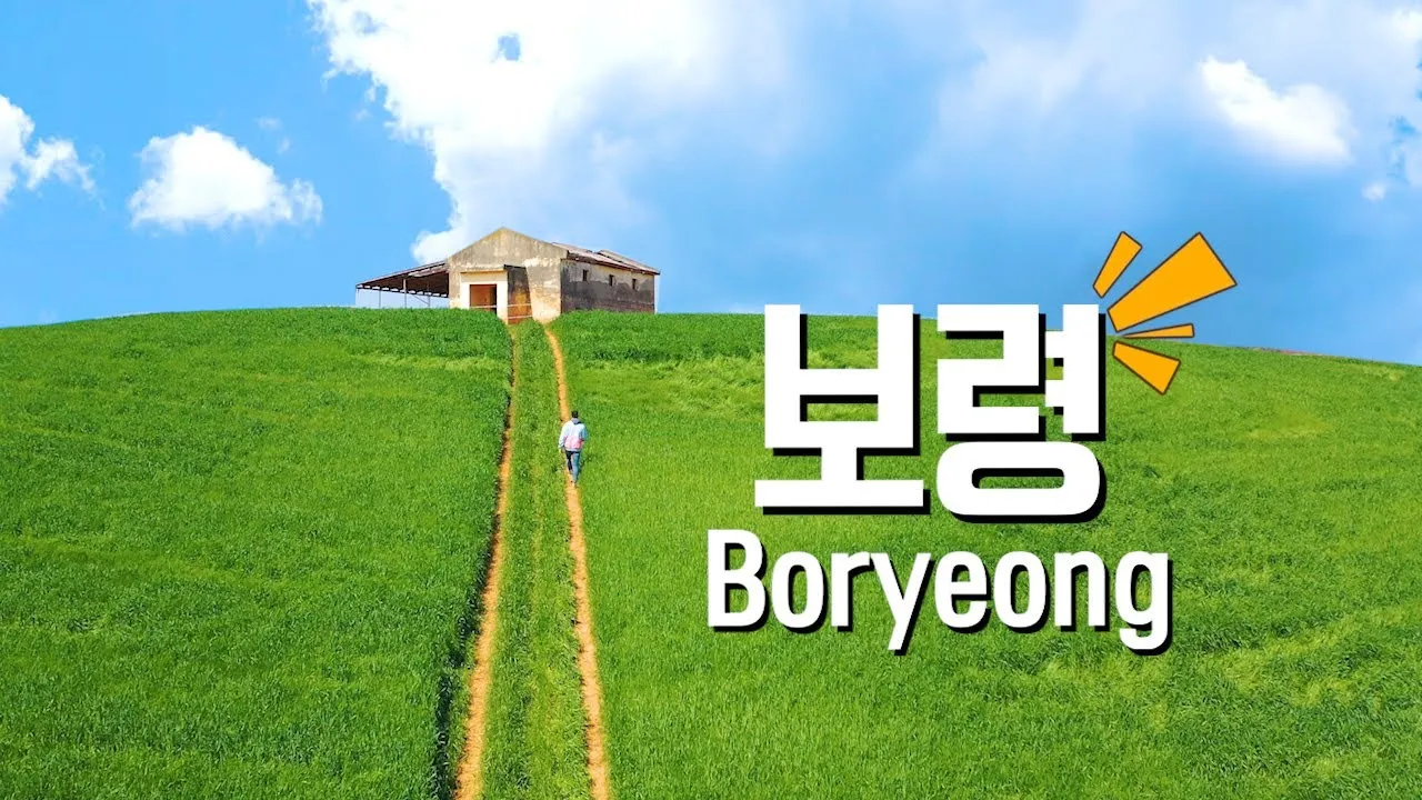 보령 가볼만한곳 맛집 추천 카페 아이랑 베스트 10_5