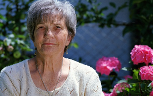 노인일자리-신청자격-신청방법