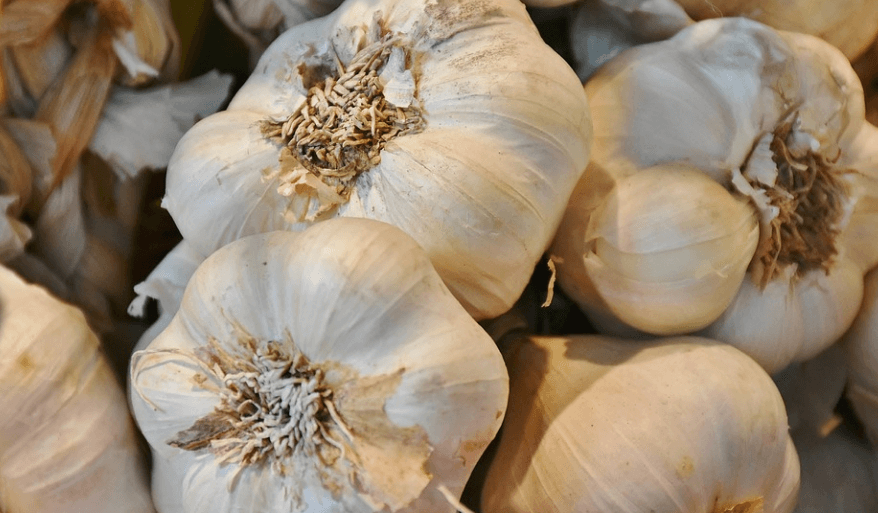 셀레늄이 많은 음식 - 4