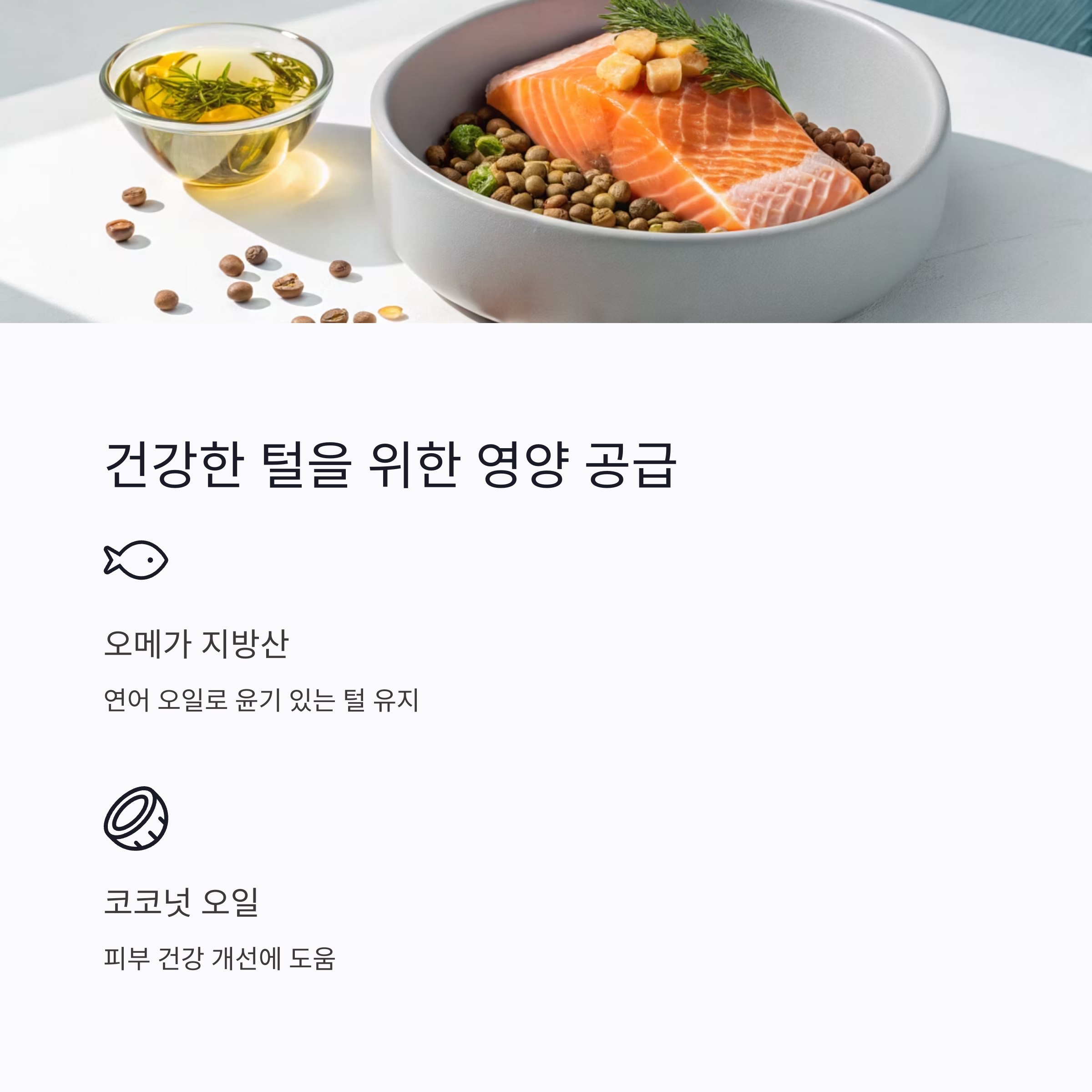 건강한 털을 위한 영양 공급