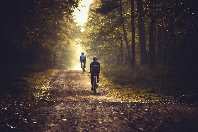 “그림의 떡” – 왜 욕망은 항상 닿지 않는가?