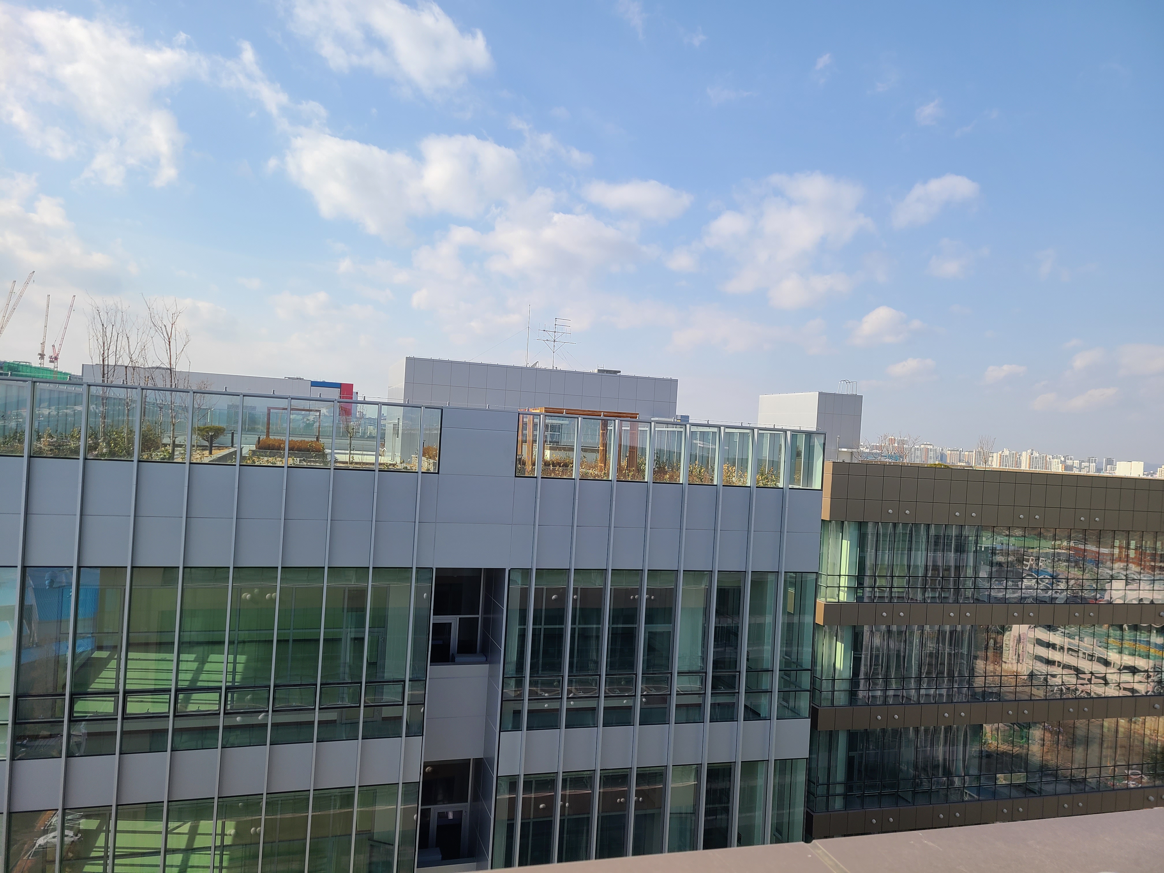 마제스트타워 옥상5