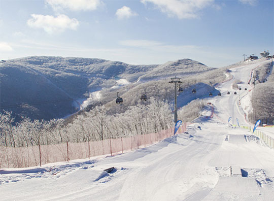 스키장 개장일 이미지11