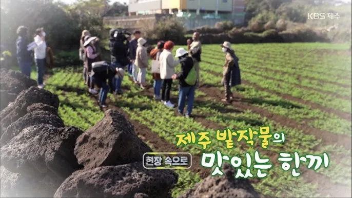 6월에 심는 밭작물 채소_2