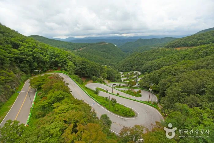 한국관광공사-봄-드라이브코스-5선-보은-말티재길