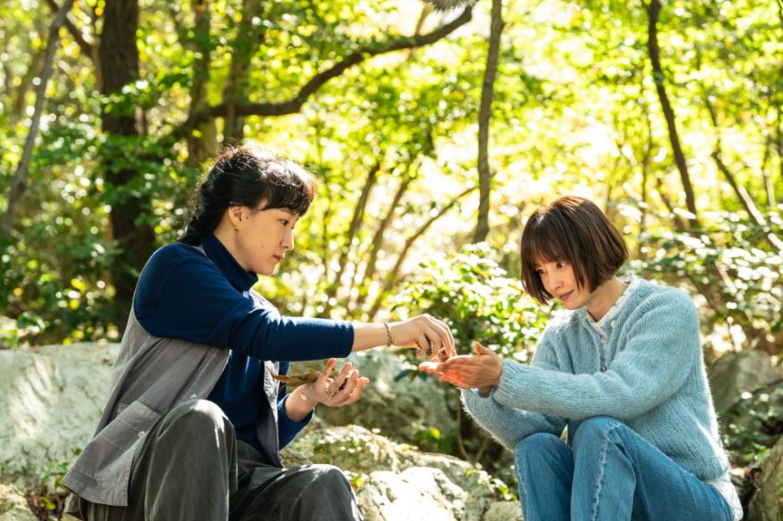 박하경여행기