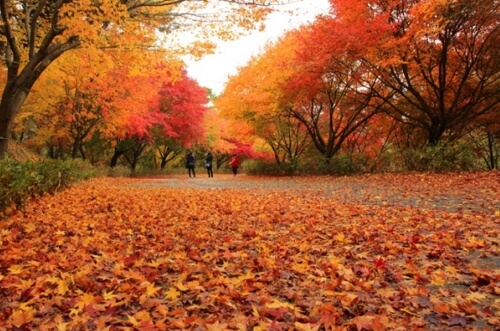 동래읍성 역사축제 (금강공원/동래읍성 일원)