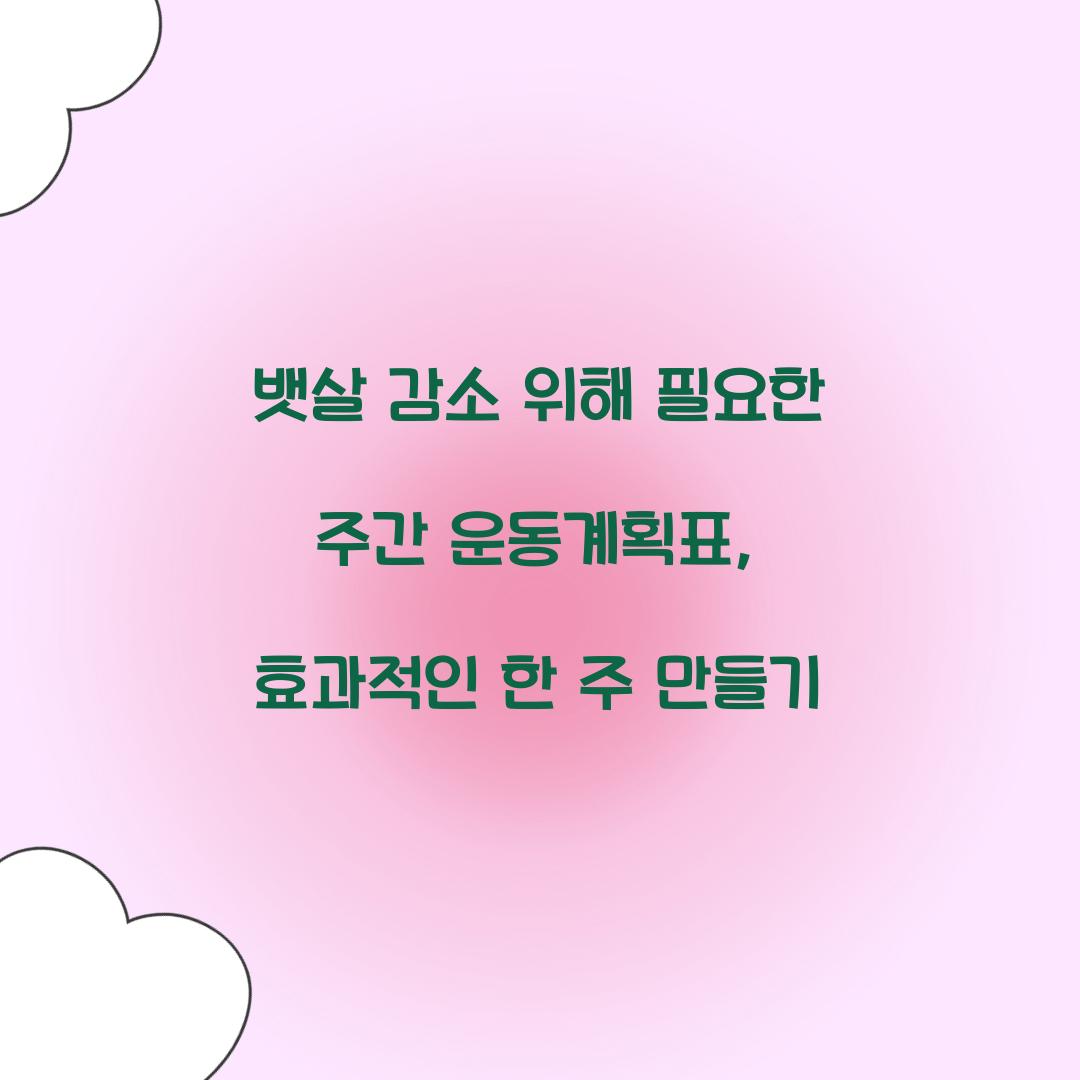 뱃살 감소 위해 필요한 주간 운동계획표