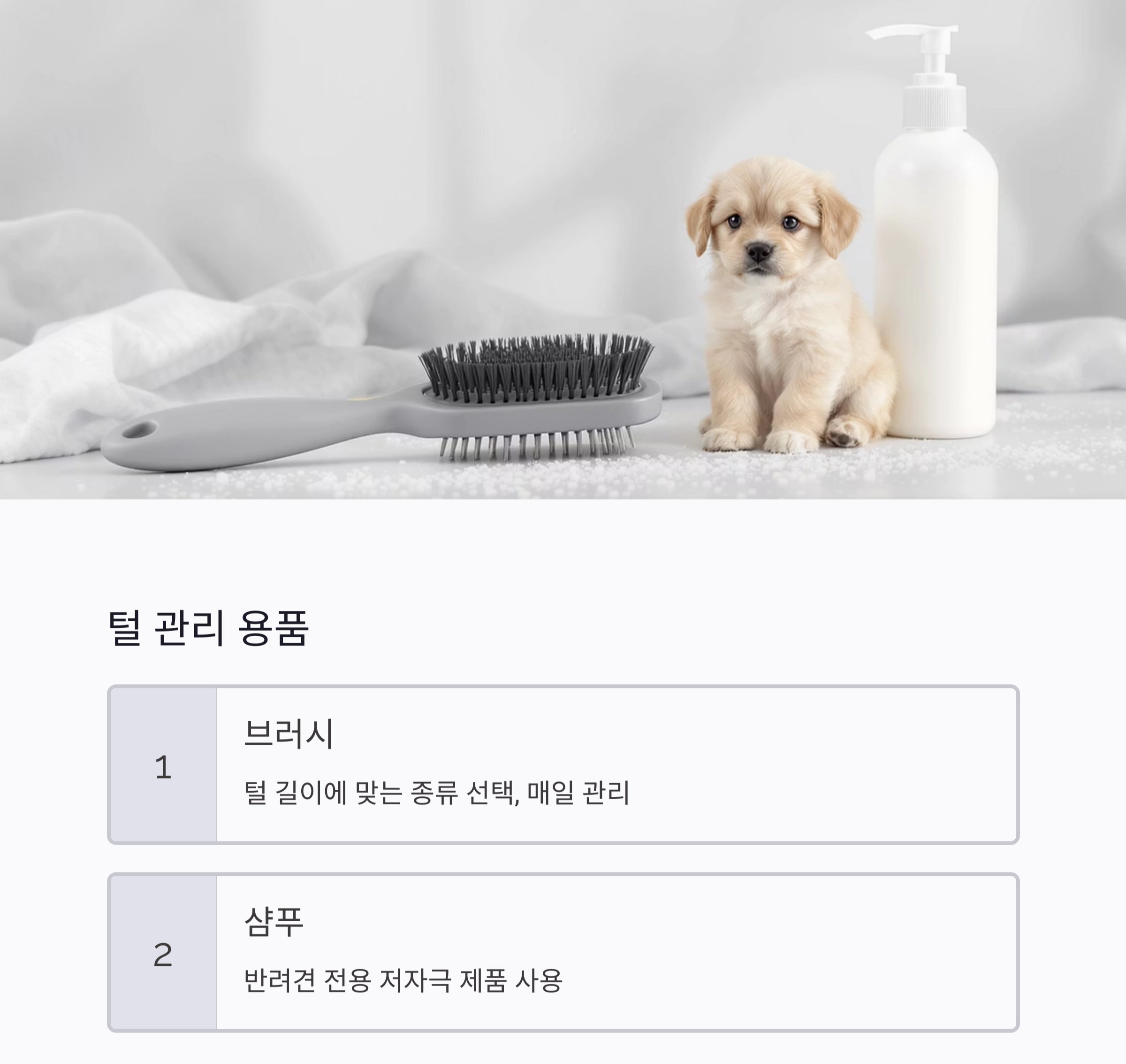 강아지 처음 키울 때 꼭 필요한 준비물 리스트
