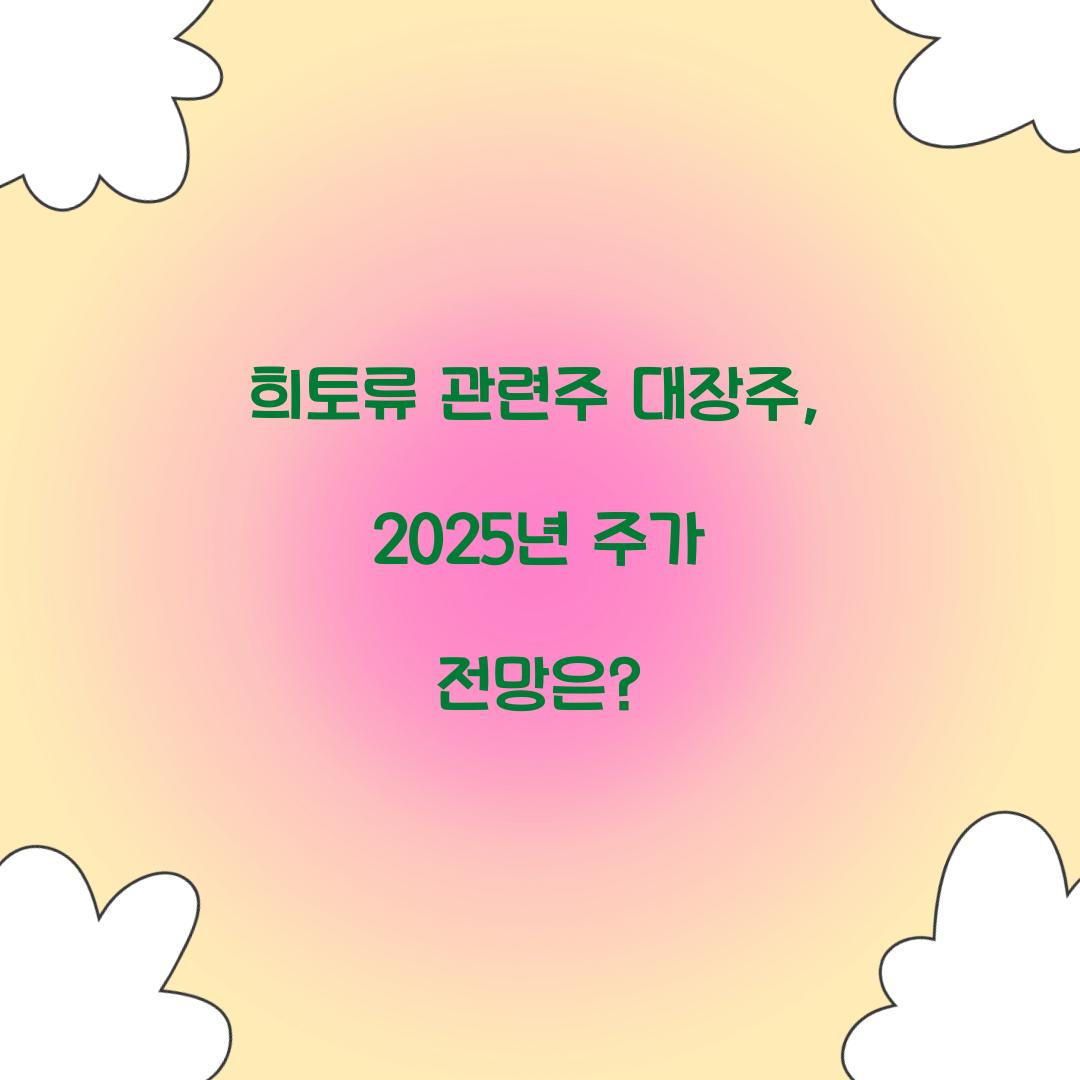 희토류 관련주 대장주