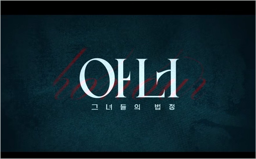 드라마 아너 그녀들의법정 아너 뜻 출연진 등장인물 줄거리