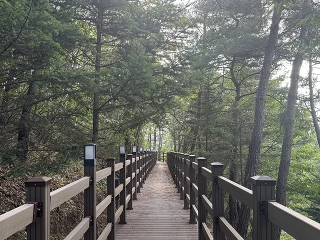 걷기좋은 숲길 50 서울 전남 경북_3
