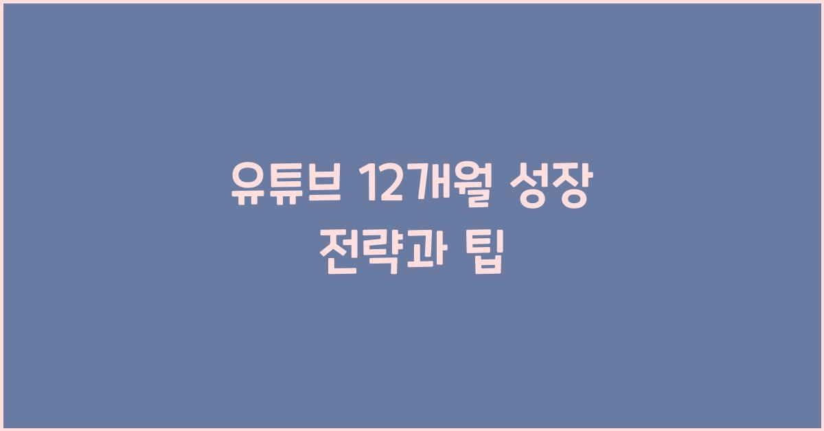 유튜브 12개월