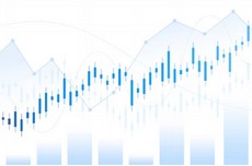 그리드위드 기업 영위 업종