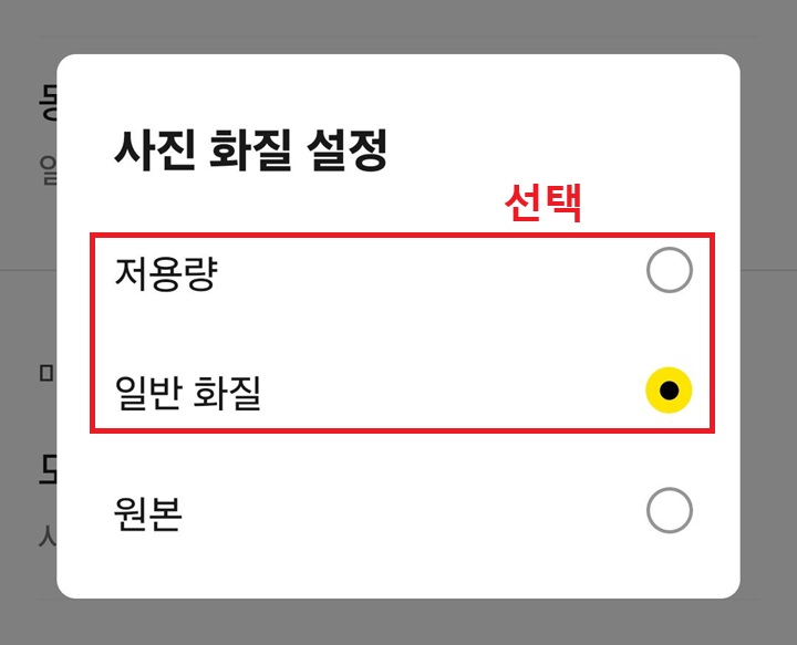 사진 화질 설정창 보임