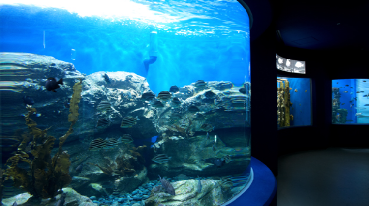 여수 아쿠아플라넷