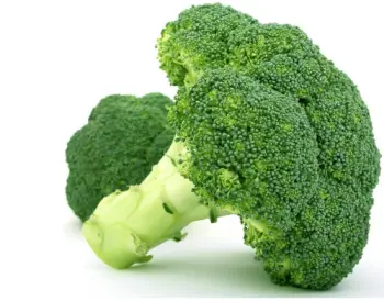 글루타치온이 많이 들어있는 음식 BEST 10