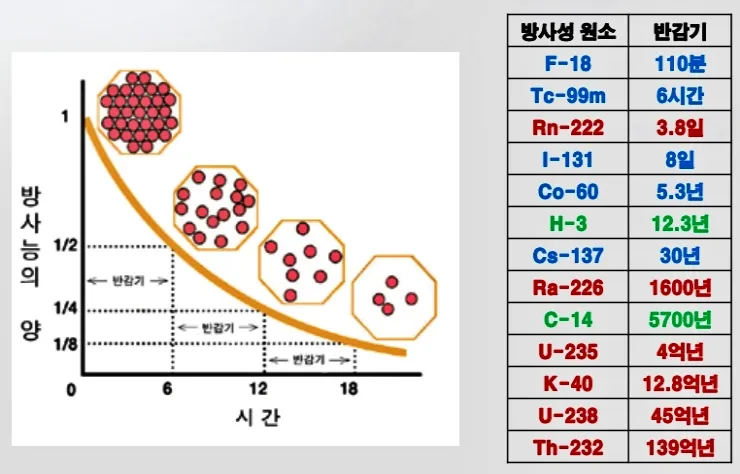 방사선 반감기