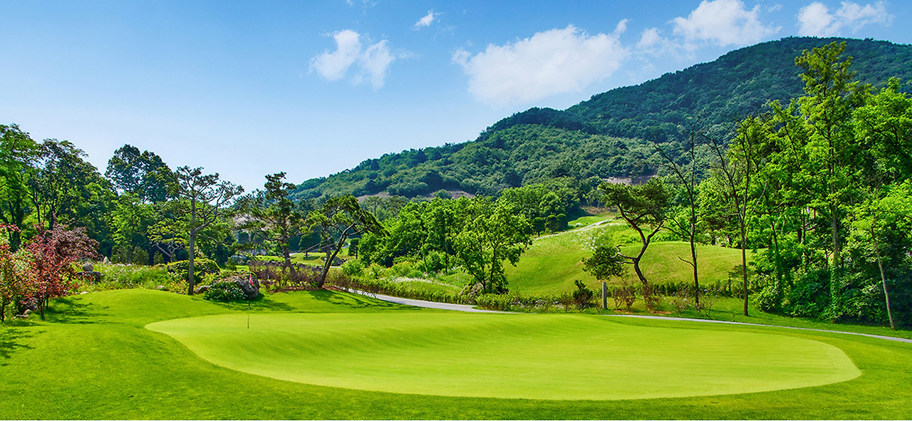 2025 증평인삼골축제&amp;#44;인삼 체험 축제